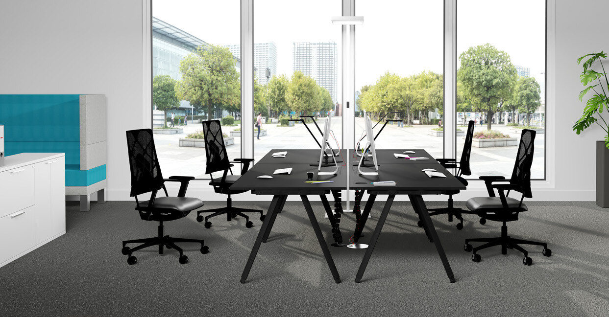 ishape_Page_3_Image_0005