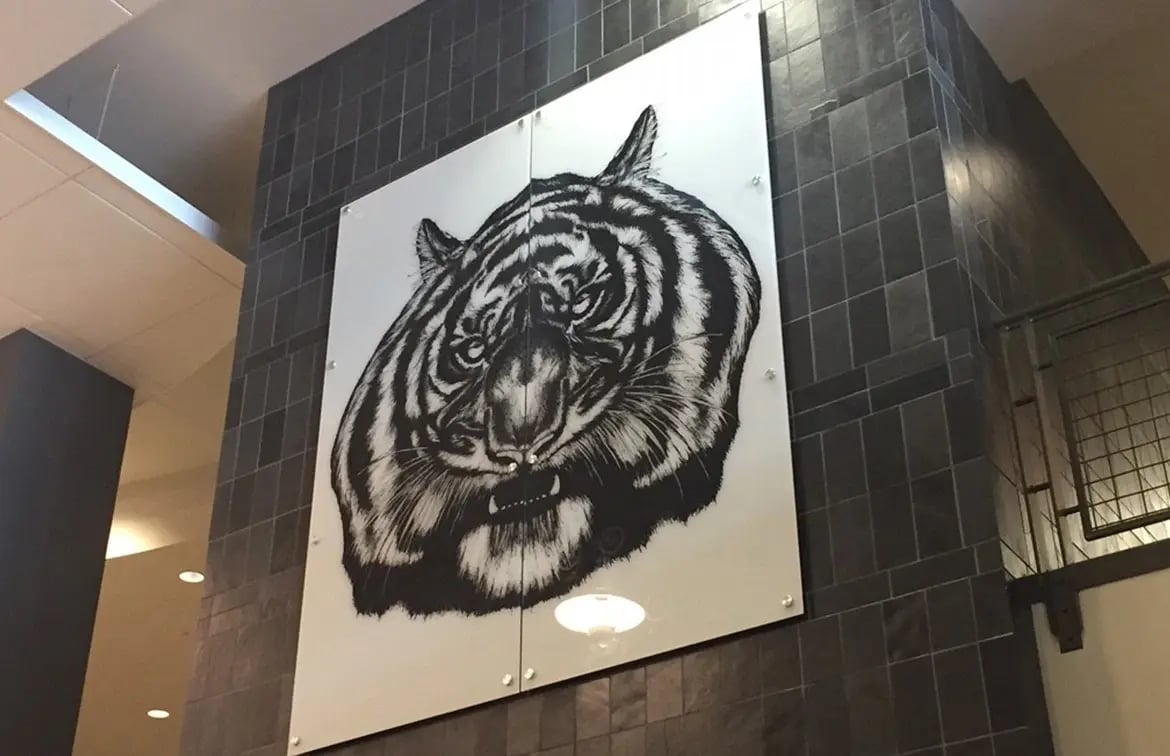 coronaVISUAL_Tiger-Graphic_HI-RES_IMAGE